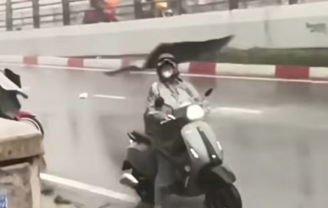 TPHCM: Mưa lớn kèm dông lốc, mái tôn bay tứ tung, đường ngập sâu