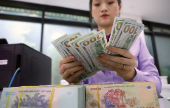 Giá USD hạ nhiệt