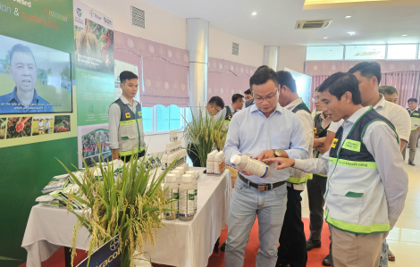 Khuyến nông cộng đồng là lực lượng nòng cốt trong sản xuất nông nghiệp