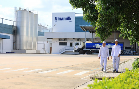 Phát triển bền vững: Bệ phóng cho hành trình vươn tầm quốc tế của Vinamilk