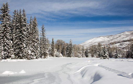 Ngắm tuyết trắng, rừng phong đỏ vào mùa đông tại Mỹ