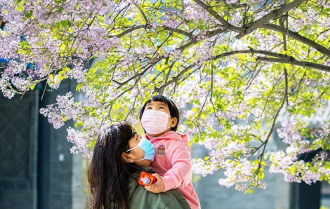 Hội mẹ đơn thân tựa nhau mà sống