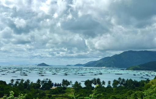 Xanh ngắt Vũng Rô