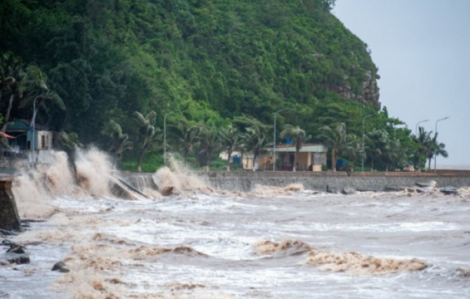 Khi nào bão số 8 hình thành?