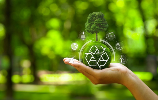 Bảo vệ môi trường, thay đổi từ những thói quen nhỏ