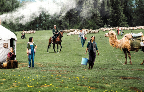 Bỏ phố về quê để sống chậm