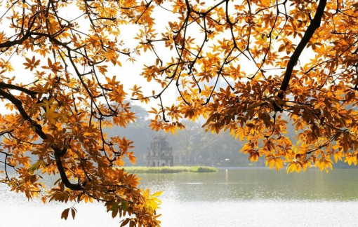 Hà Nội là nơi ngắm lá mùa thu tuyệt vời ở châu Á