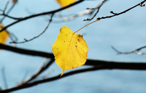 Một lần gặp lại quá khứ