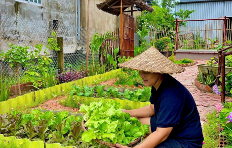 Chàng trai bỏ phố về quê sau biến cố, làm vườn để chữa lành