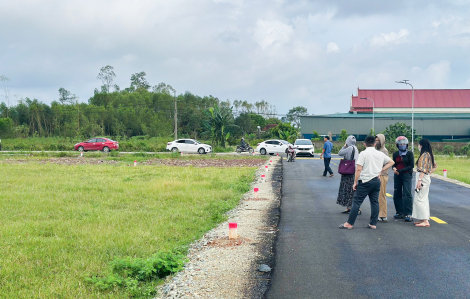 'Cò đất' kéo về làng quê săn đất sau khi công bố quy hoạch khu công nghiệp