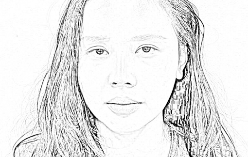 Công an Hà Nội khởi tố người phụ nữ vu khống hoa hậu