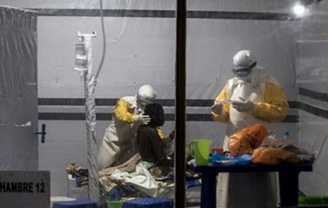 Số ca tử vong trong đợt bùng phát Ebola tăng 63%
