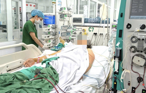 Sốt xuất huyết ở Hà Nội tăng mạnh, ghi nhận hơn 250 ca trong tuần