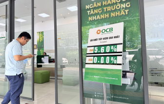 Tiền gửi vào các ngân hàng vẫn tăng mạnh dù lãi suất thấp