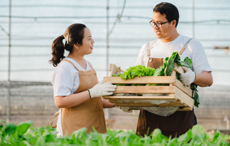 Láng giềng thành phố