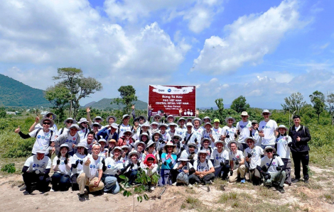 P&G và Central Retail Việt Nam tổ chức Ngày hội trồng rừng ở Tà Kóu năm 2025