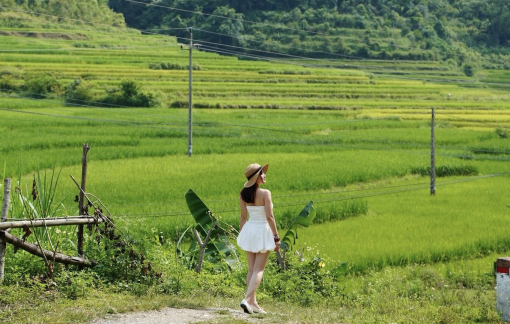 Cao Bằng mùa lúa chín, thơ mộng và yên bình