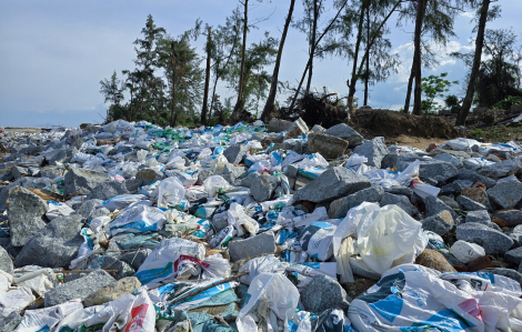 Sạt lở bờ biển uy hiếp “lá chắn” bảo vệ hàng trăm hộ dân ở Hà Tĩnh