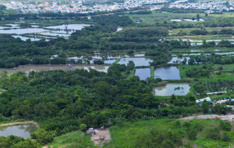 TPHCM đề xuất 74 khu đất thí điểm thực hiện dự án nhà ở thương mại