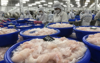Nhiều mặt hàng thủy sản có nguy cơ không thể xuất khẩu vào Mỹ