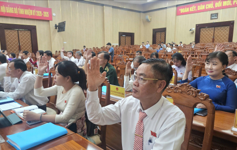 An Giang chuyển đổi gần 300ha đất rừng để phục vụ dự án APEC 2027 tại Phú Quốc