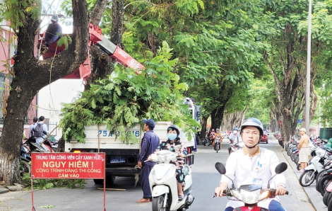 TP Huế dự kiến di dời hơn 10 ngàn hộ dân nếu bão số 10 đổ bộ