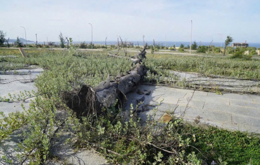 Công ty Phát Đạt cam kết hoàn thiện hạ tầng dự án Nhơn Hội vào cuối năm, cư dân đề nghị trước 15/10