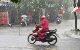 Đà Nẵng bắt đầu mưa lớn, các địa phương căn cứ tình hình bão số 10 để cho học sinh nghỉ học ngày thứ Hai