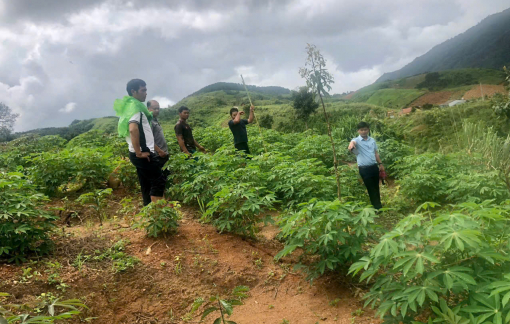 Phát hiện vết nứt trên núi dài 200m, di dời khẩn cấp 12 hộ dân ở Quảng Ngãi