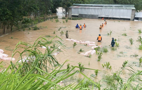 Bão vừa qua, người dân Nghệ An lại tất tả chạy lũ