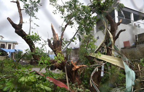 Cảnh tượng tan hoang tại Ninh Bình sau trận giông lốc quét qua