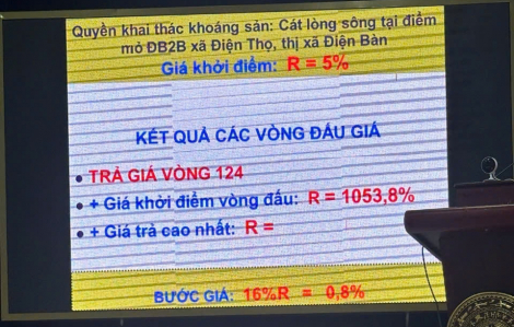 Đà Nẵng: Khởi tố thêm 4 đối tượng thông đồng nâng giá vụ đấu mỏ cát