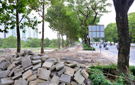 Hiện trạng tuyến đường đầu tiên ở TPHCM sẽ làm làn riêng cho xe đạp