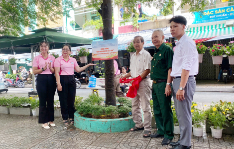 Mang thêm mảng xanh đến khu chung cư