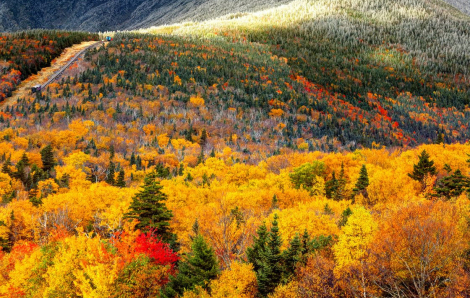 Những điểm đến đẹp nhất ở Mỹ để ngắm lá mùa thu năm 2025