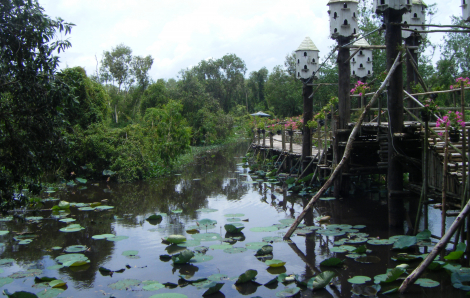 Trà Sư: Vào cõi xanh tĩnh lặng