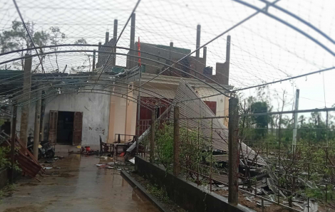 Bão số 10: 19 người chết, 13 người mất tích, 92 người bị thương, 122.874 nhà hư hỏng