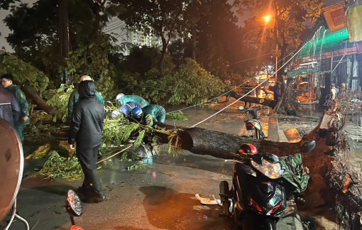 Cây xanh bật gốc đè trúng hai bà cháu ở phường Đông Hòa, TPHCM