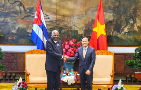 Việt Nam đang từng bước giúp Cu Ba sản xuất lúa gạo năng suất cao