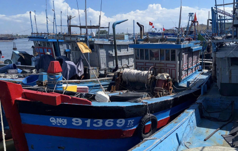 Quảng Ngãi: Liên tục xử phạt 7 tàu cá vi phạm với số tiền gần 2 tỉ đồng
