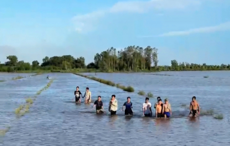 314 học viên trốn khỏi Cơ sở cai nghiện ma túy ở An Giang