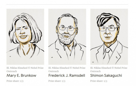 Giải Nobel Y học 2025 thuộc về 3 nhà khoa học giải mã lý do hệ miễn dịch không tự tấn công cơ thể