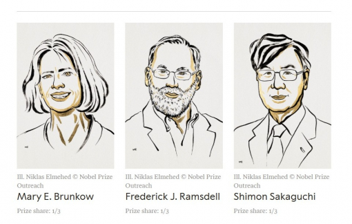 Giải Nobel Y học 2025 thuộc về 3 nhà khoa học giải mã lý do hệ miễn dịch không tự tấn công cơ thể Giải Nobel Y học 2025 thuộc về 3 nhà khoa học giải mã lý do hệ miễn dịch không tự tấn công cơ thể