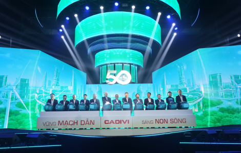 CADIVI kỷ niệm 50 năm thành lập với chủ đề “Vững mạch dẫn, Sáng non sông”