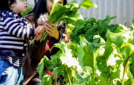 Thuốc lành trong cơm nhà mẹ nấu