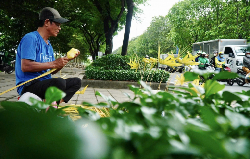 Máy bay, chim công... bằng lá dừa trên đường phố TPHCM