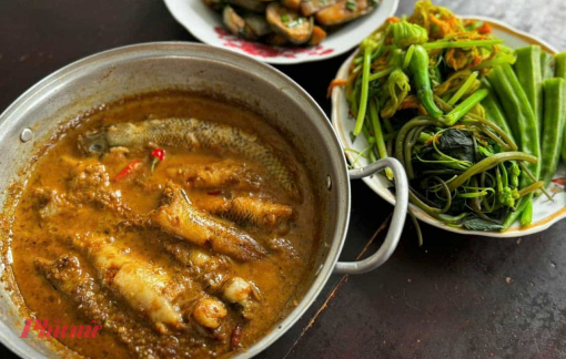 “Về sông ăn cá…”