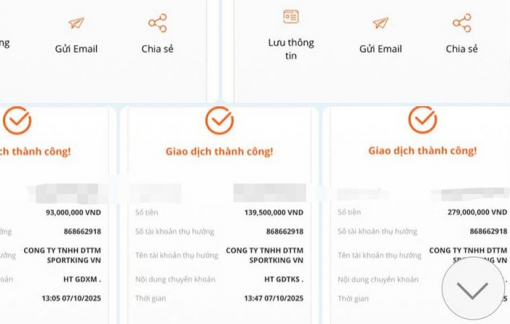 Tham gia nhóm pickleball online, người phụ nữ bị lừa hơn 600 triệu đồng