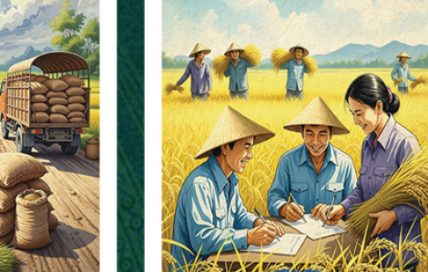 Sẽ có triển lãm 'văn minh lúa nước' tại Đường sách TPHCM