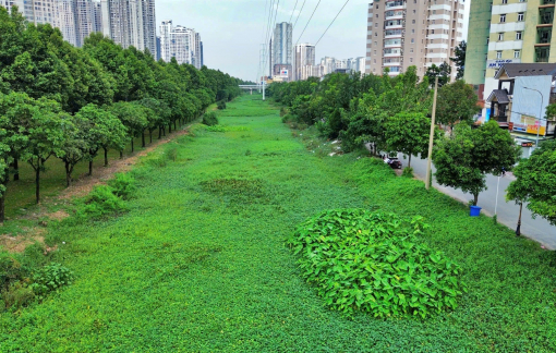 TPHCM khởi công dự án nạo vét rạch Đá Đỏ để chống ngập